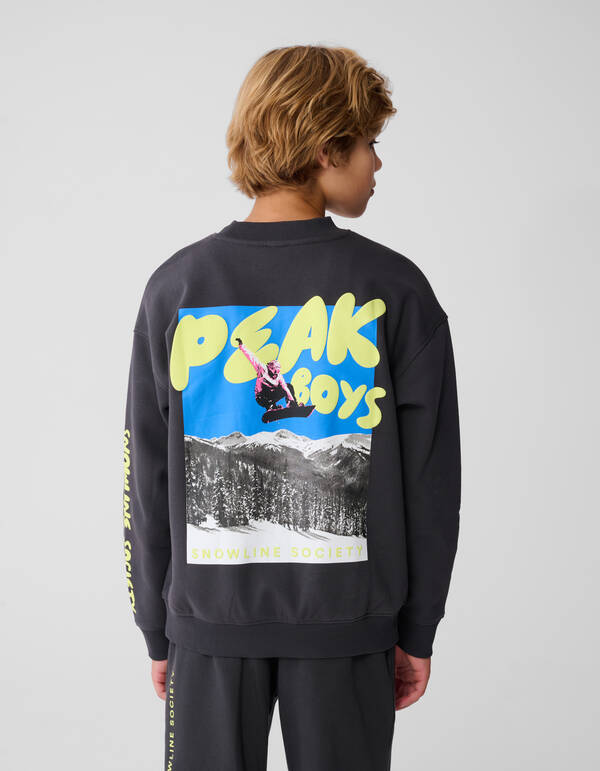Peak Artwork Pullover Dunkelgrau SHOEBY BOYS