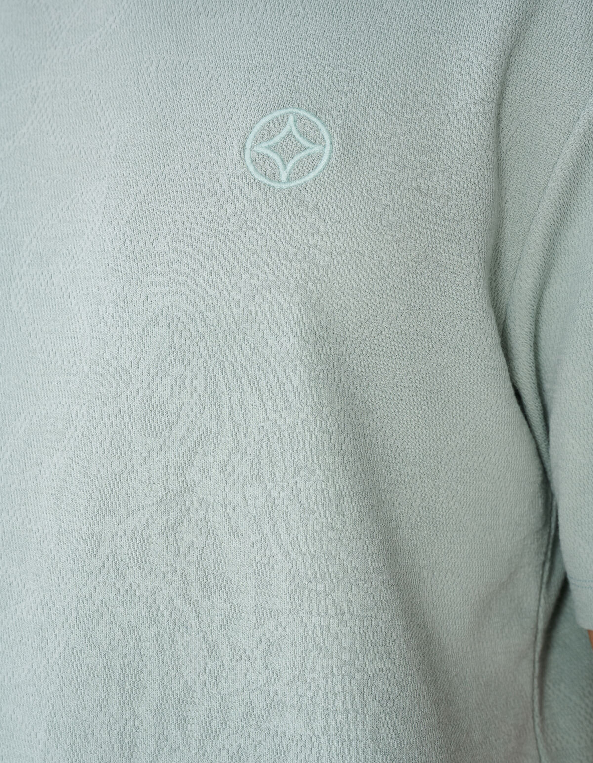 Spark Struktur T-Shirt Hellgr&uuml;n SHOEBY MEN