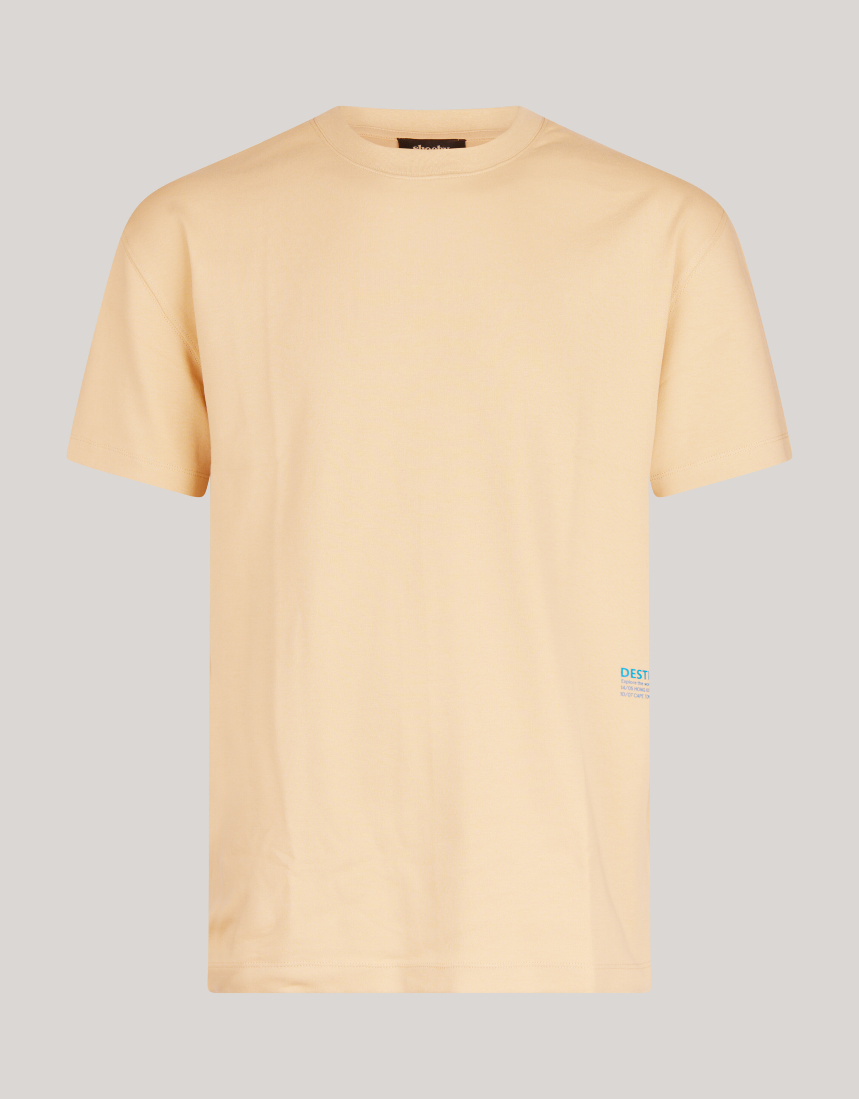 Basic T-shirt Zand SHOEBY MEN