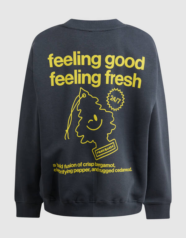 Frischer Kunstpullover Grau SHOEBY BOYS