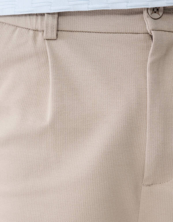 Plissierte Hose in normaler Passform, hellbraun SHOEBY MEN