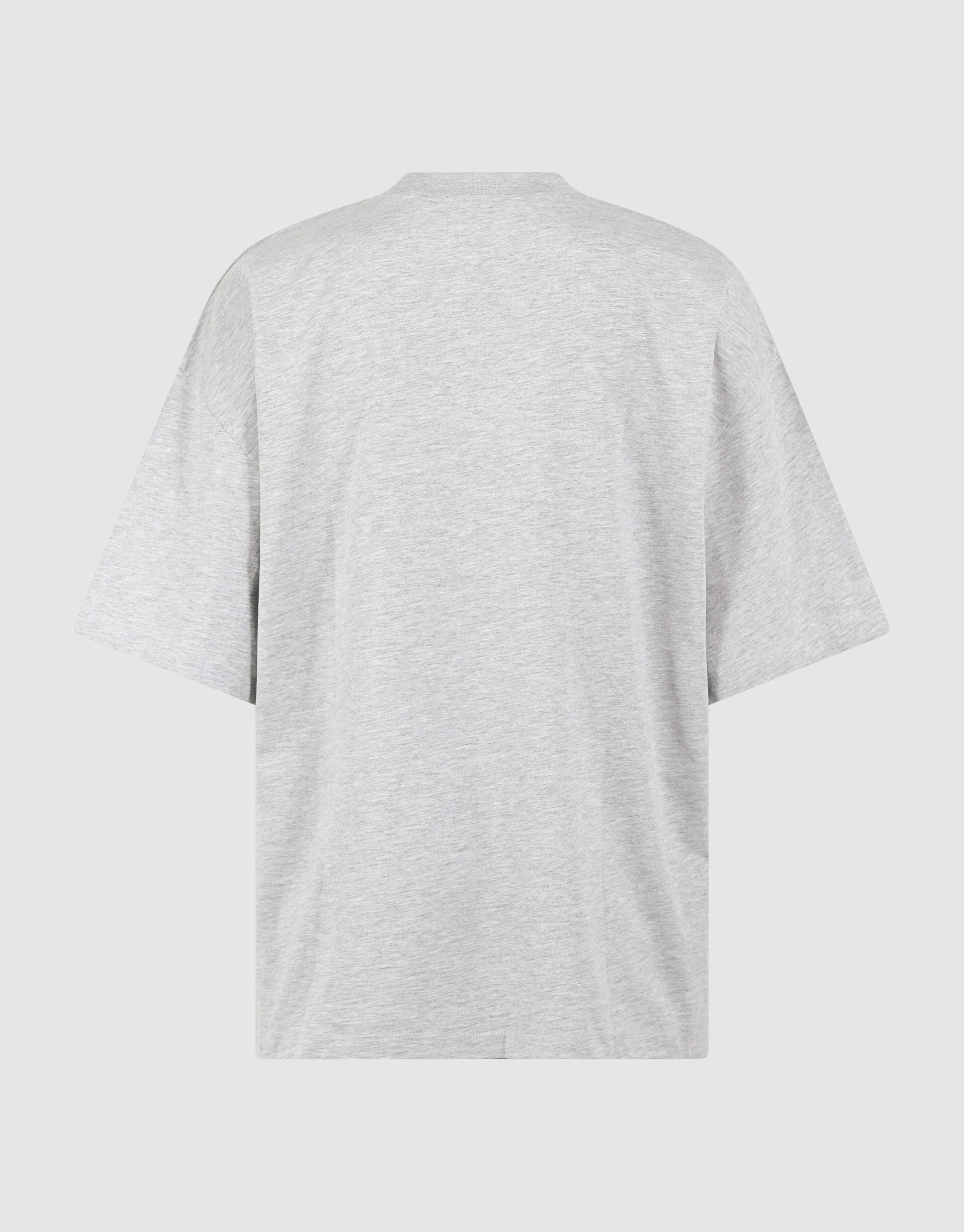 Grafik-Kunst T-Shirt Hellgrau SHOEBY WOMEN