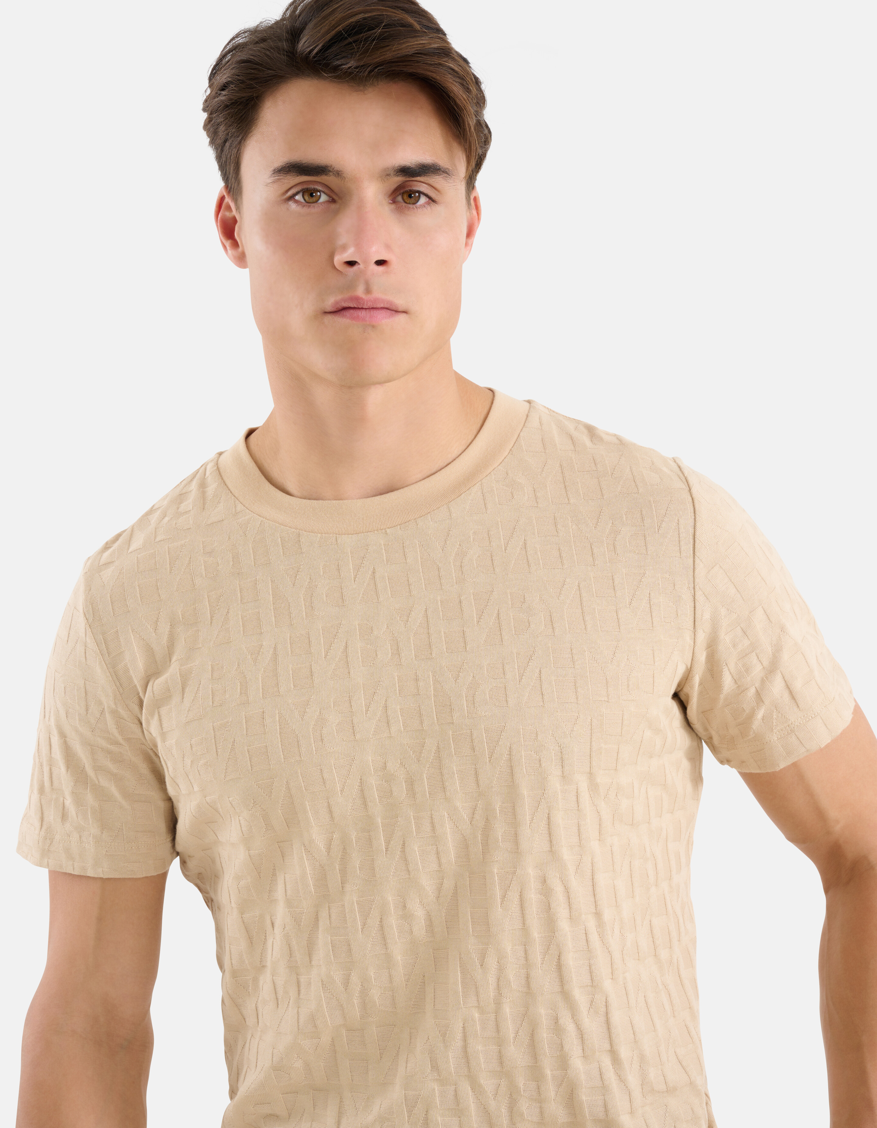 Structuur T-shirt Beige SHOEBY MEN