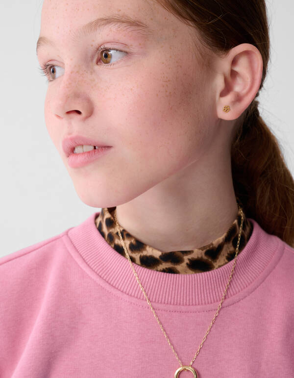 Inspire Artwork Pullover Rosa SHOEBY GIRLS