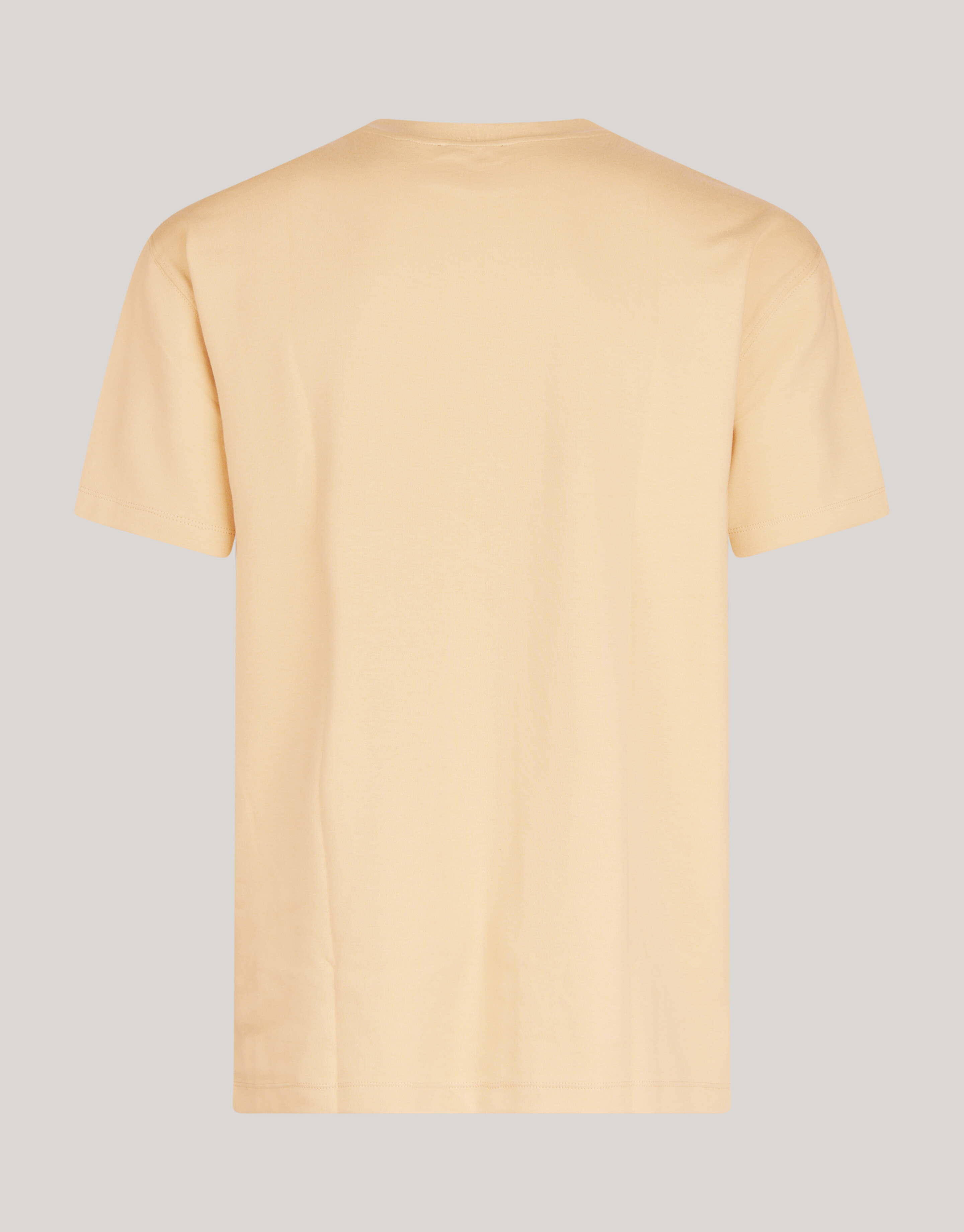 Basic T-shirt Zand SHOEBY MEN