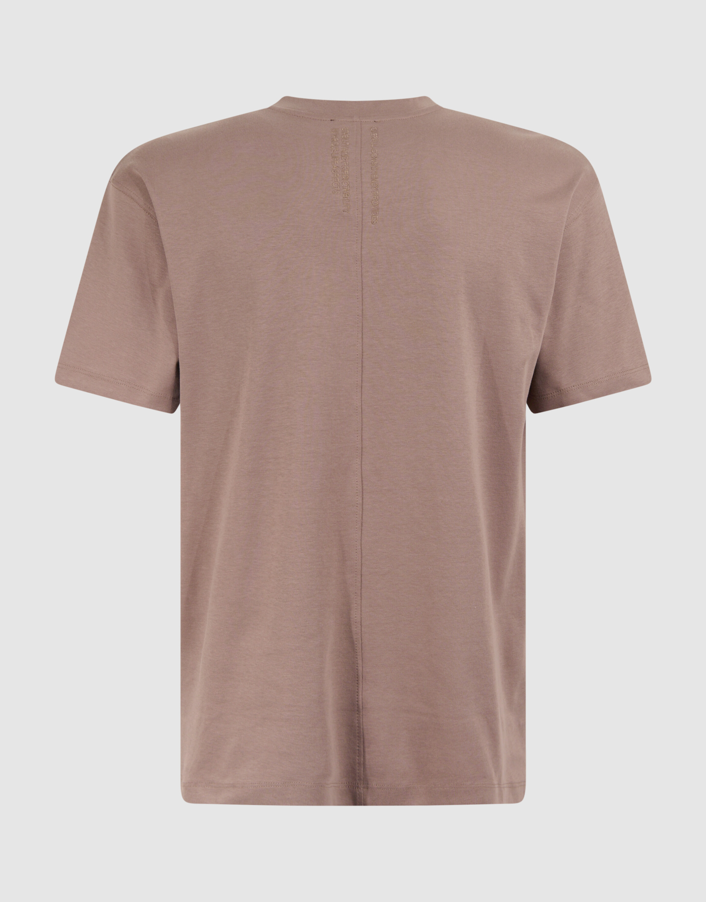 Stickerei Kunstwerk T-shirt Hellbraun SHOEBY MEN