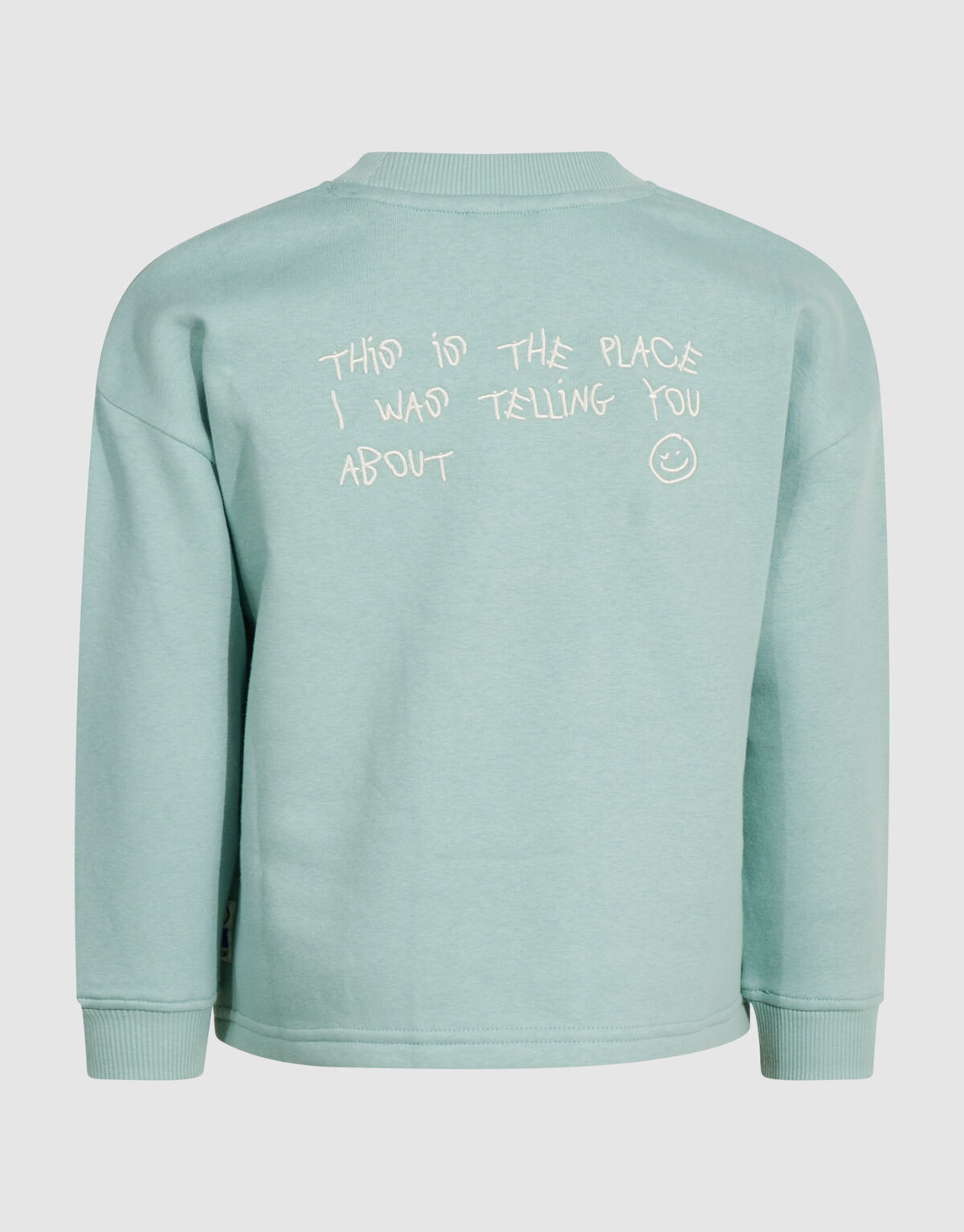 Oversized Artwork-Sweatshirt Hellgr&uuml;n SHOEBY BOYS