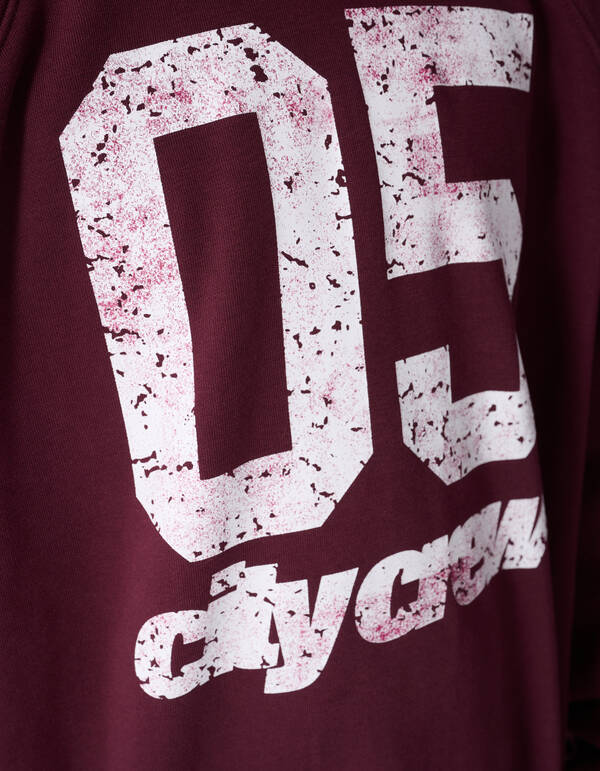 City Crew Pullover Dunkelrot SHOEBY BOYS