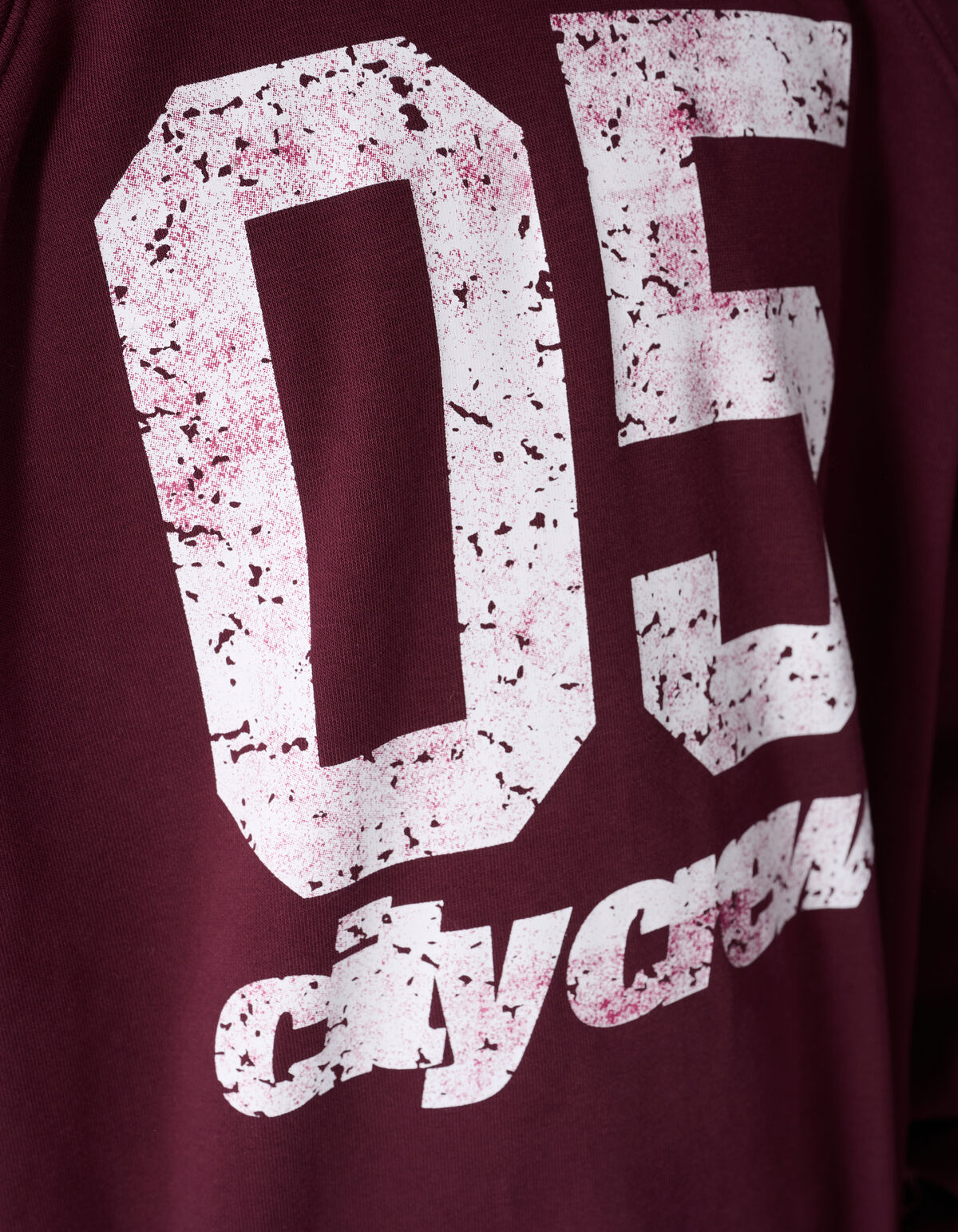 City Crew Pullover Dunkelrot SHOEBY BOYS