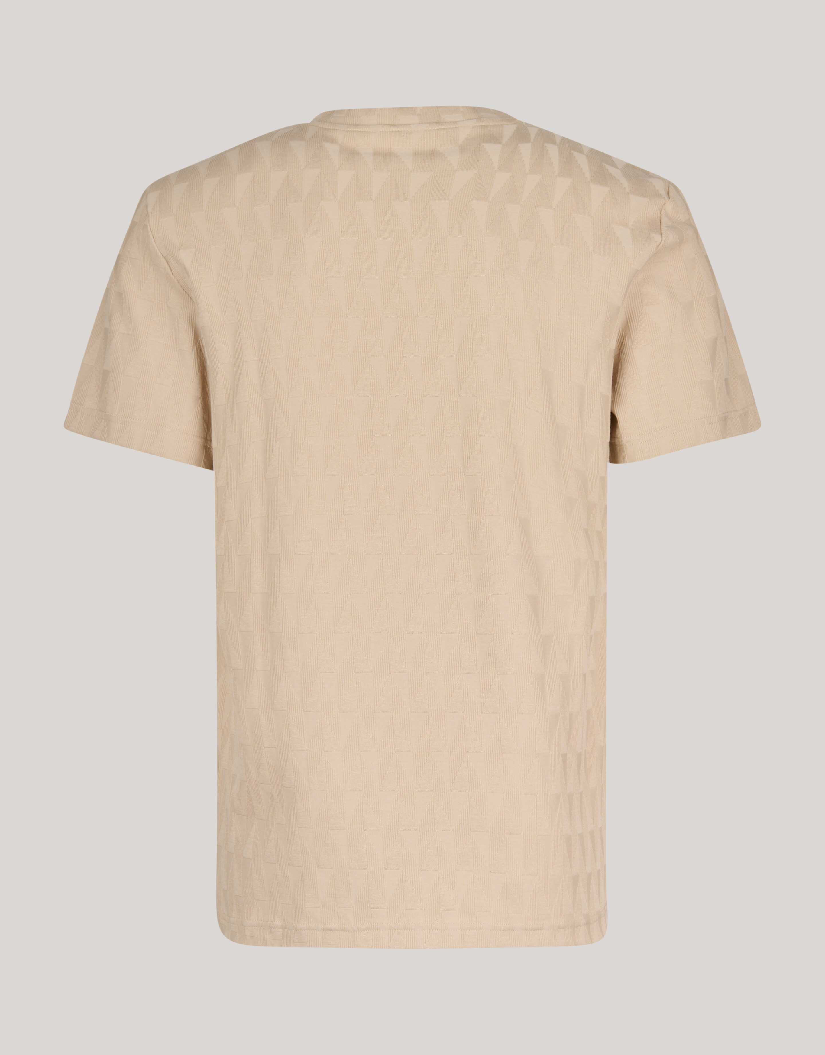 Jacquard T-shirt Sand SHOEBY MEN