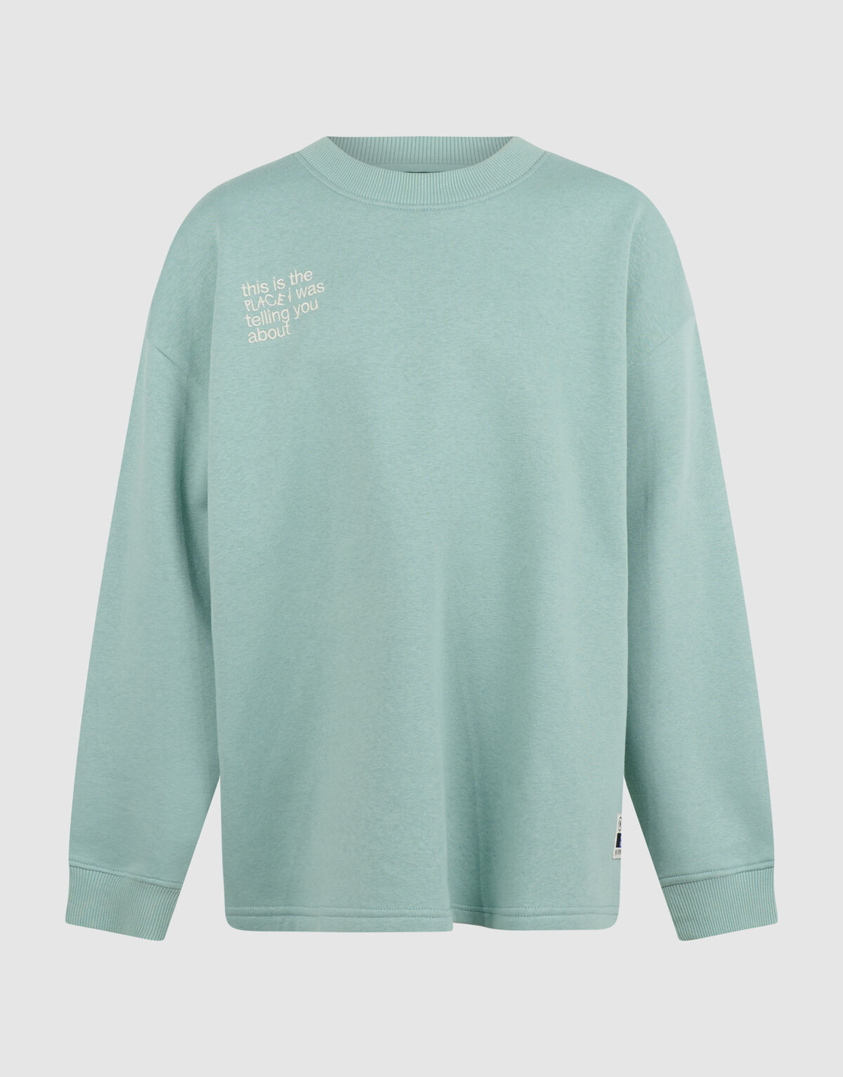 Logo Sweatshirt Hellgr&uuml;n SHOEBY BOYS