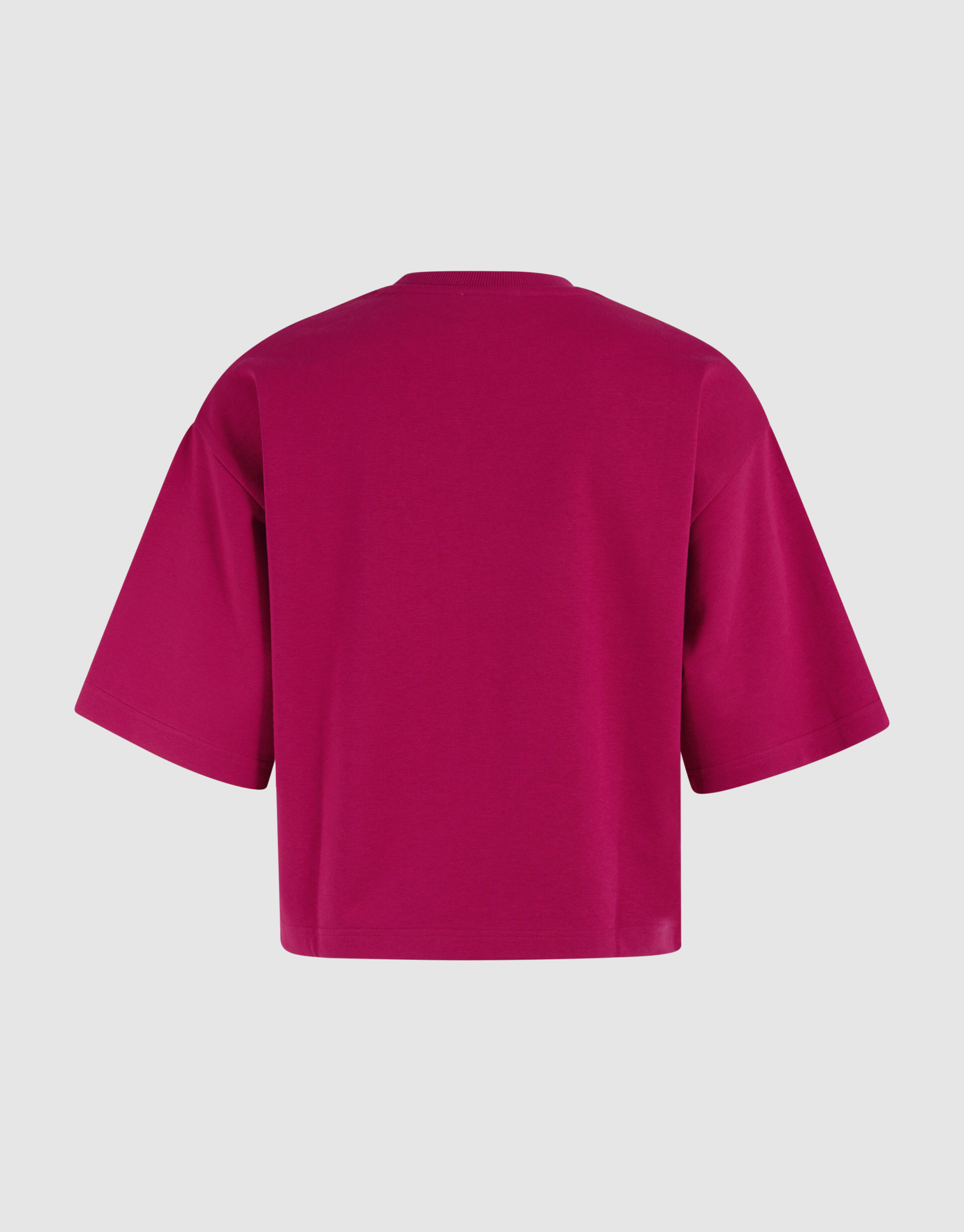 Übergroßes Sweat-T-Shirt Roze/Rood SHOEBY WOMEN
