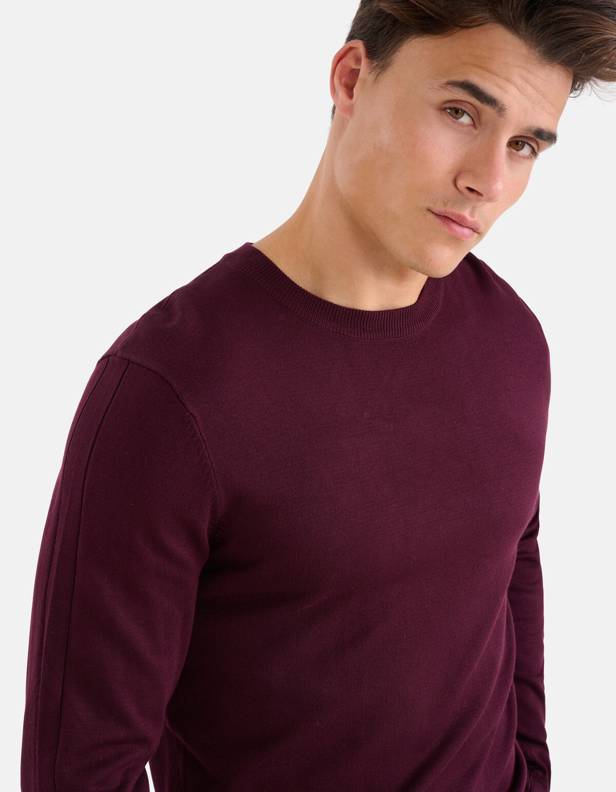 Rollkragenpullover Bordeaux SHOEBY MEN