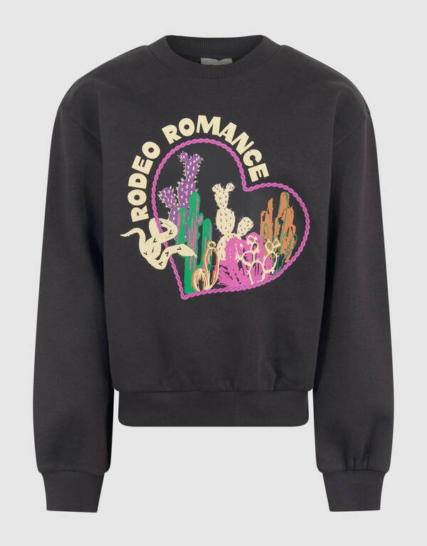 Artwork Pullover Dunkelgrau SHOEBY GIRLS