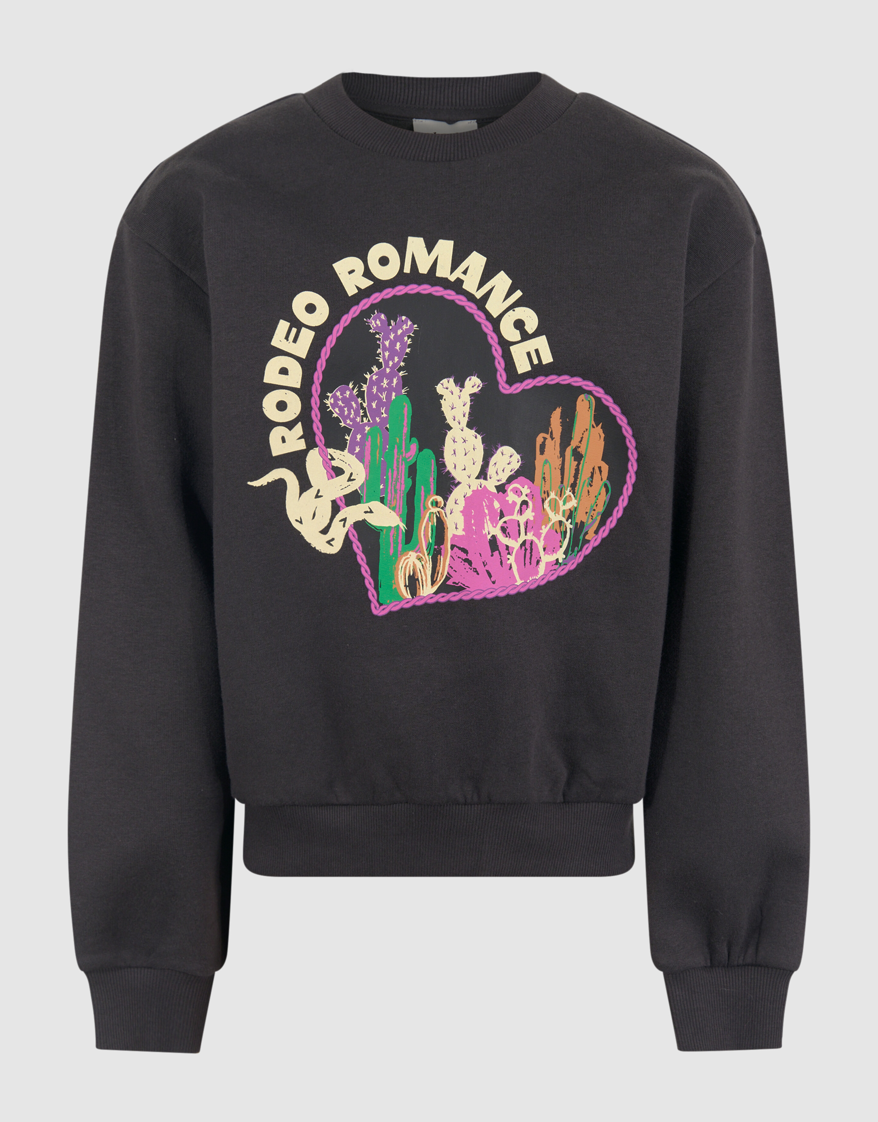 Artwork Pullover Dunkelgrau SHOEBY GIRLS