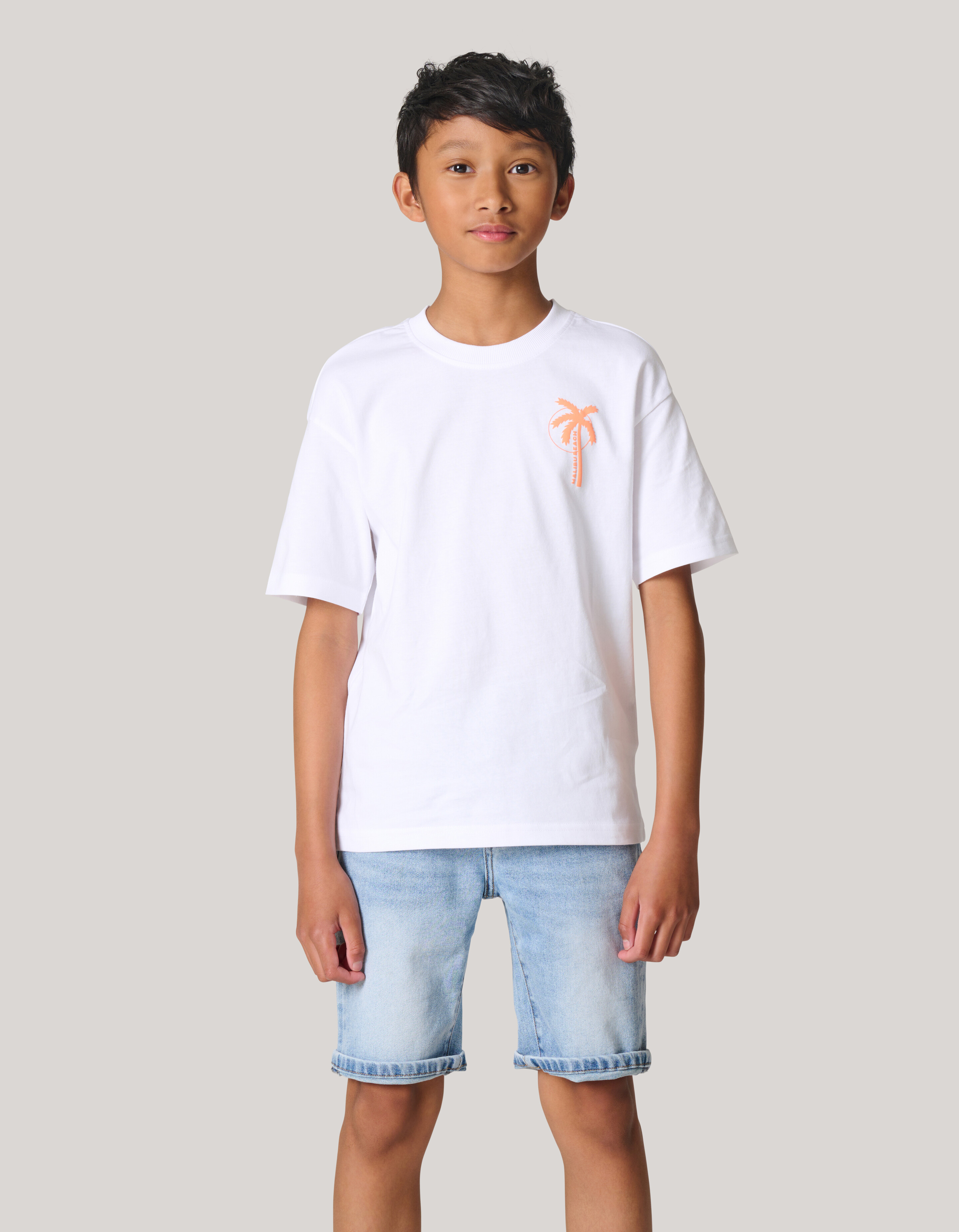 Kunstwerk T-shirt Wit SHOEBY BOYS