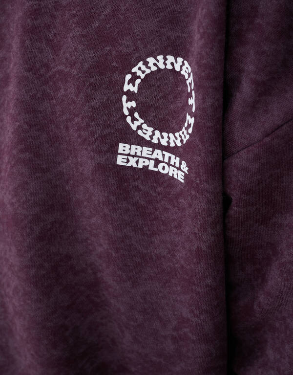 Connect Artwork Pullover Dunkelrot SHOEBY BOYS