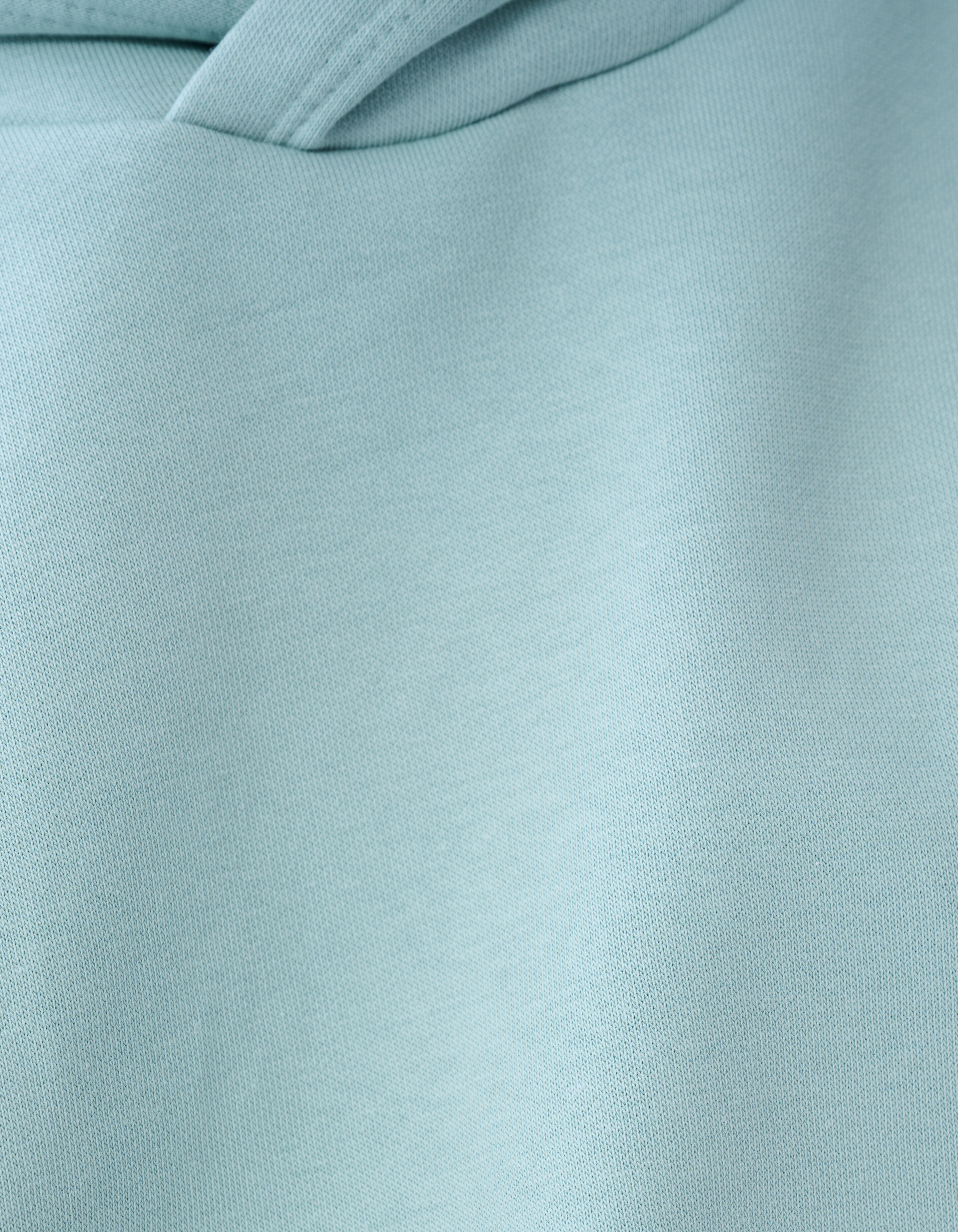 Icon Hoodie Hellgrün SHOEBY BOYS