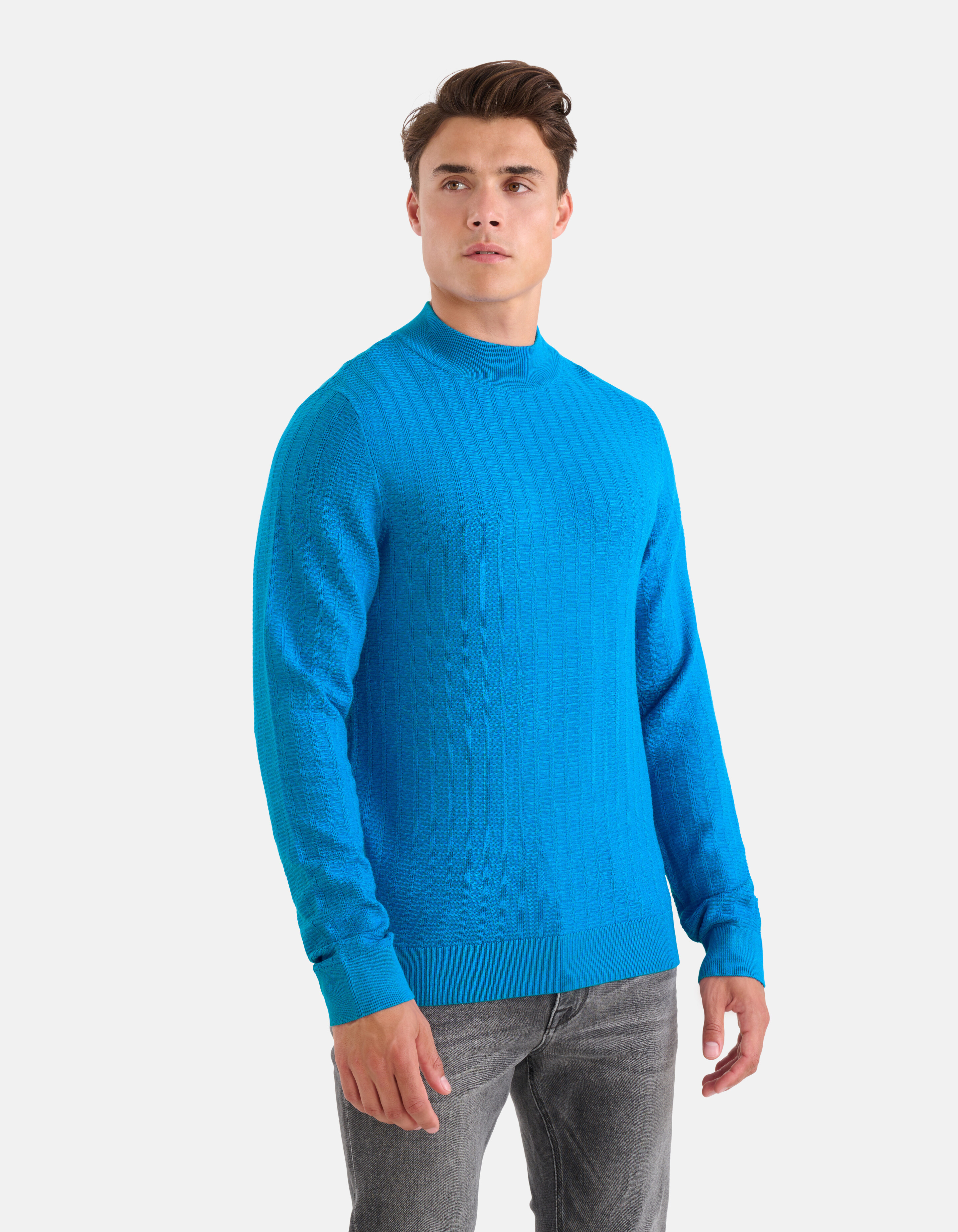 Textur Pullover Blau SHOEBY MEN