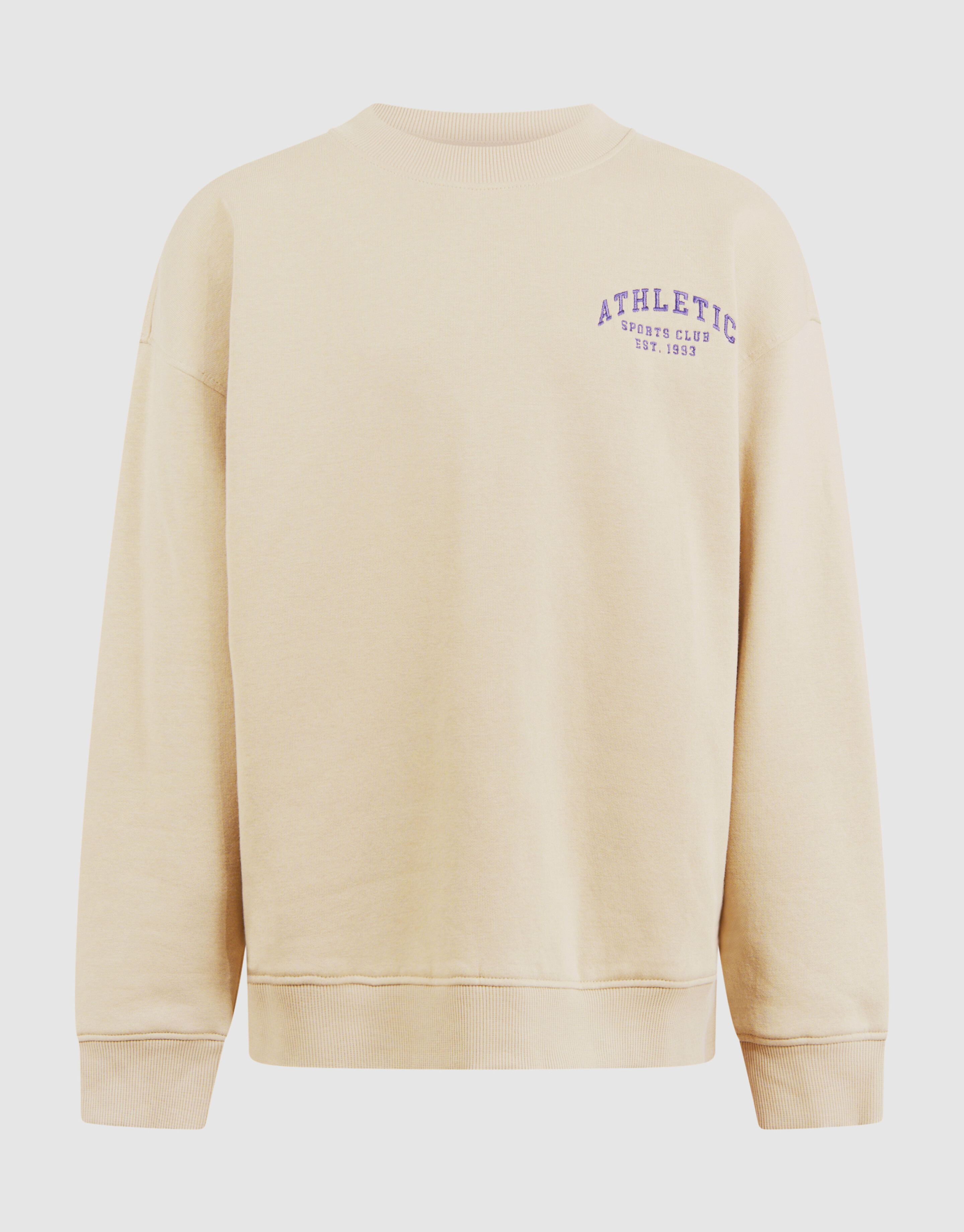 Athletisches Kunstwerk Pullover Beige SHOEBY BOYS