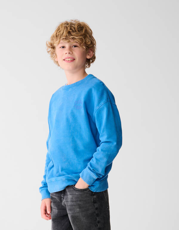 Fear None Artwork Pullover Blau SHOEBY BOYS