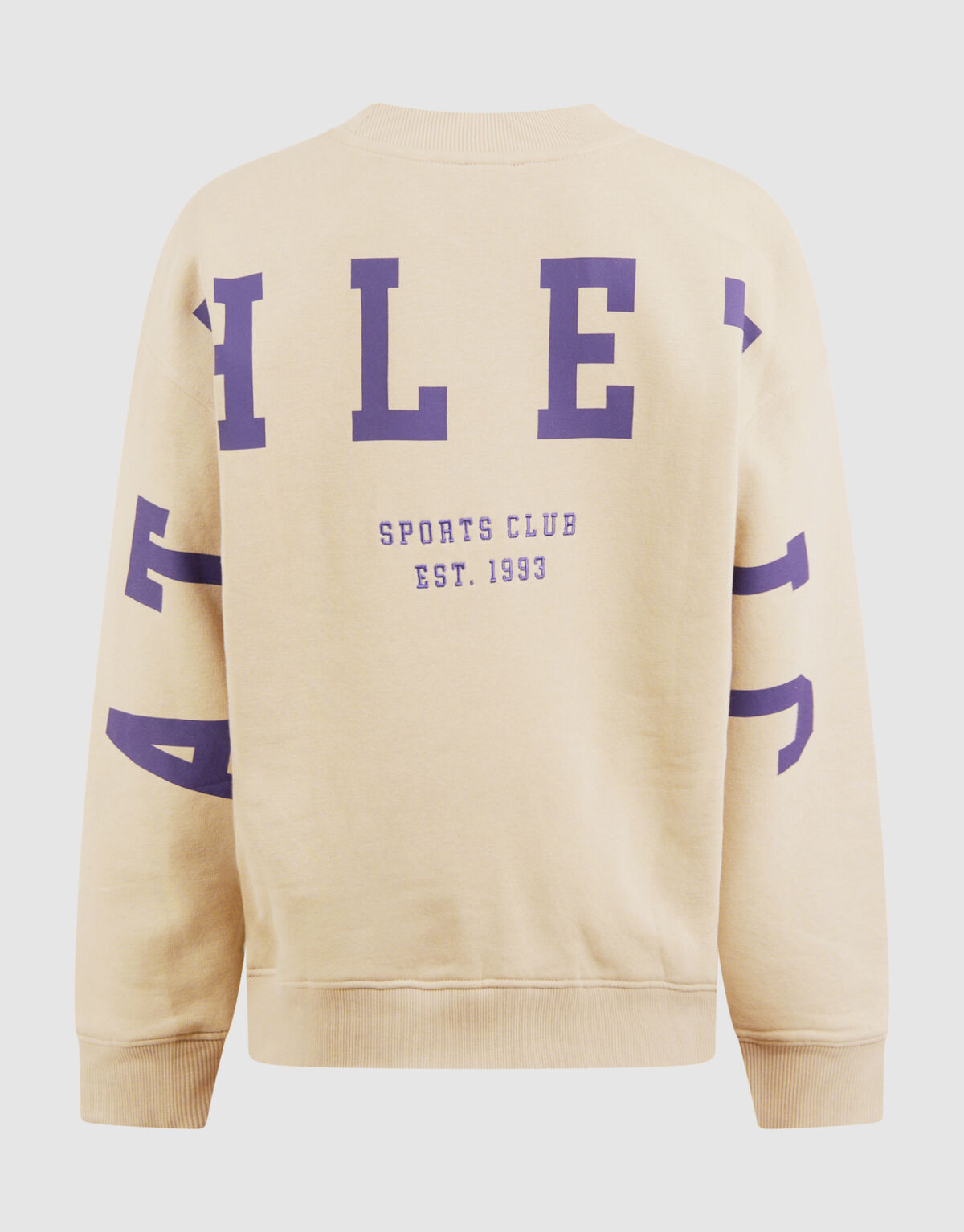 Athletisches Kunstwerk Pullover Beige SHOEBY BOYS