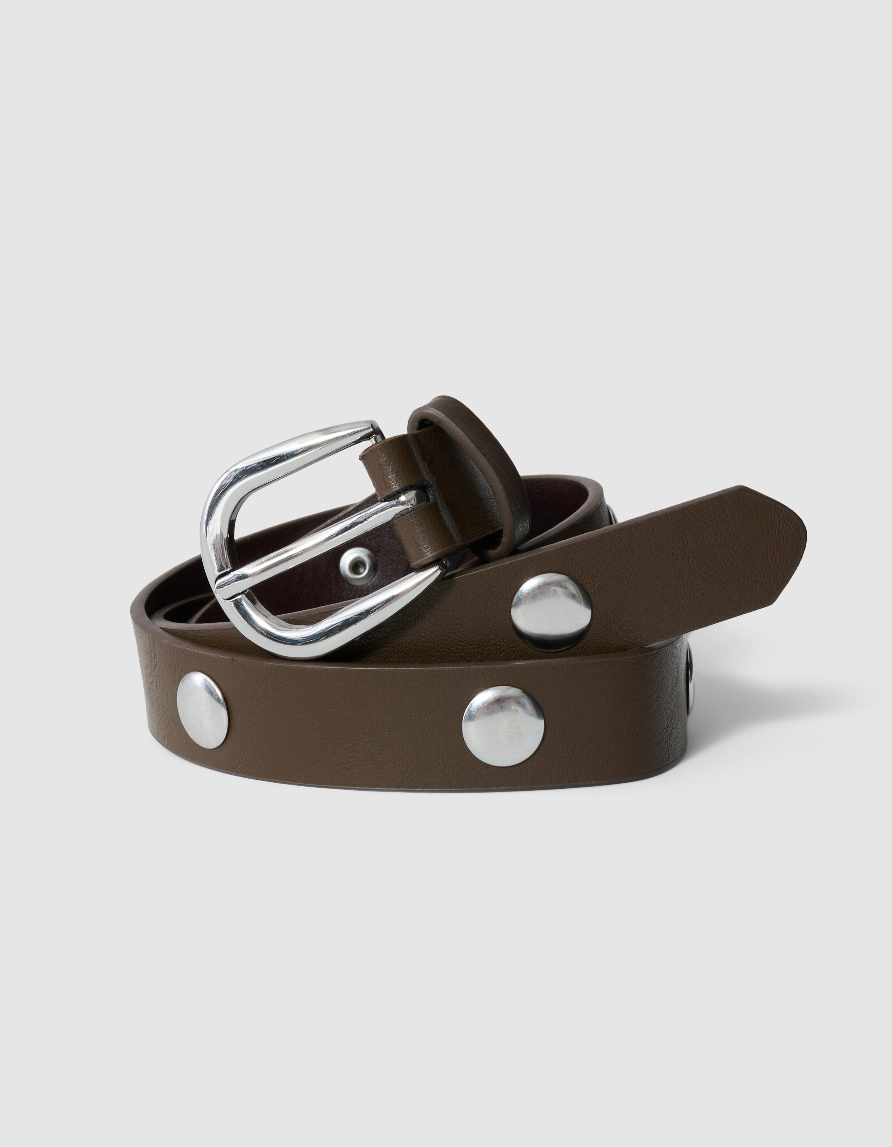 Nieten G&uuml;rtel Dunkelbraun SHOEBY ACCESSOIRES