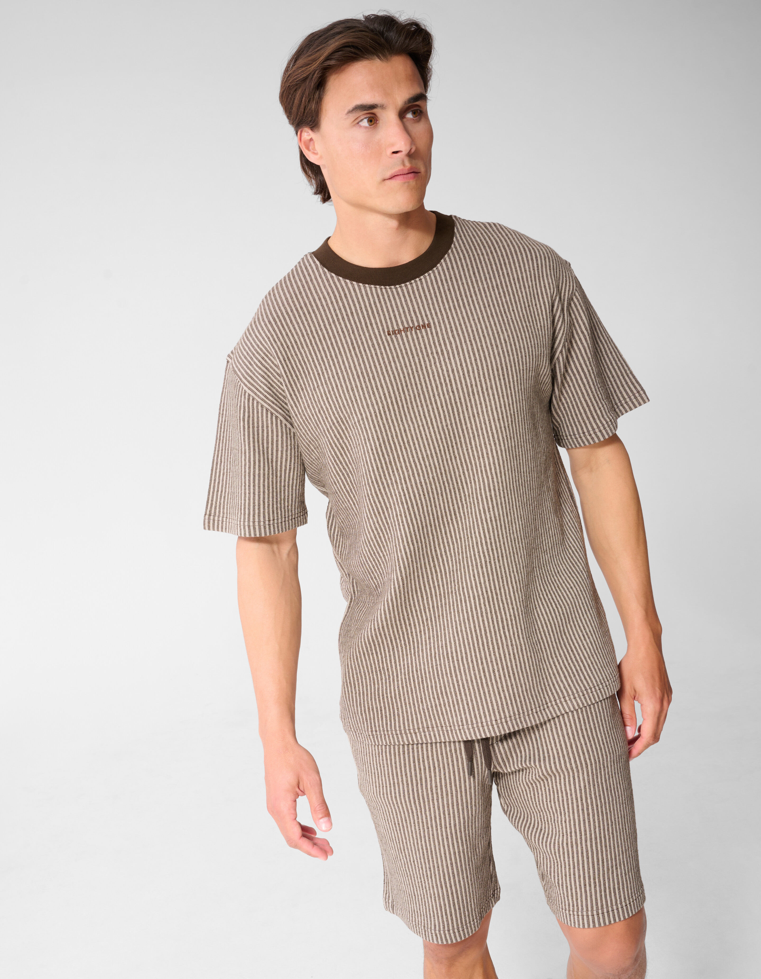 Seersucker-T-Shirt, Braun SHOEBY MEN