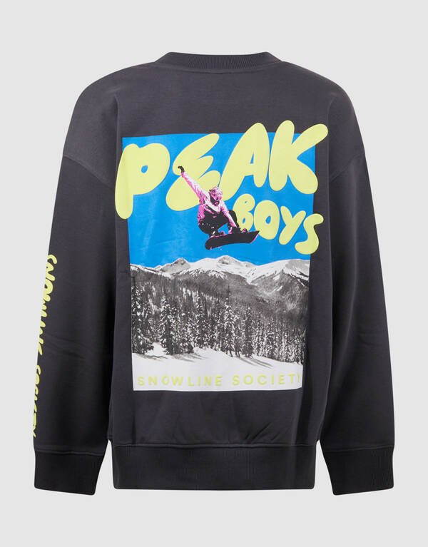 Peak Artwork Pullover Dunkelgrau SHOEBY BOYS
