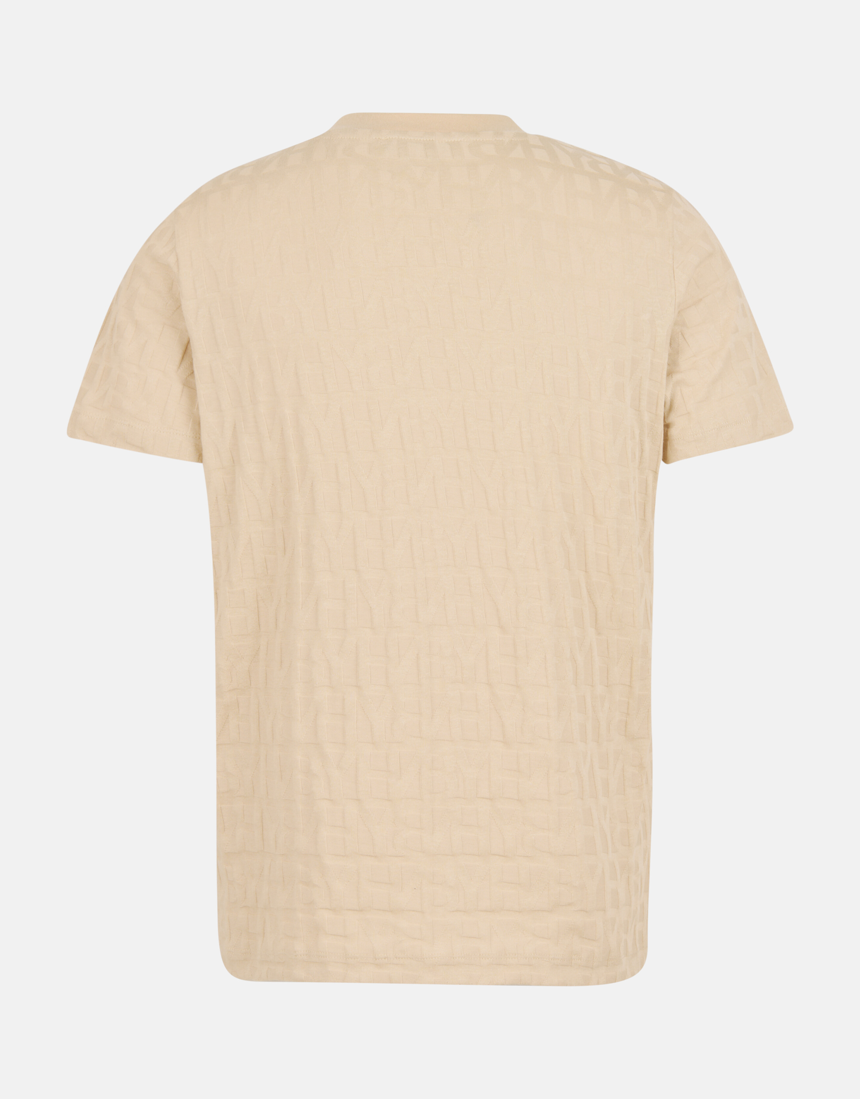 Structuur T-shirt Beige SHOEBY MEN