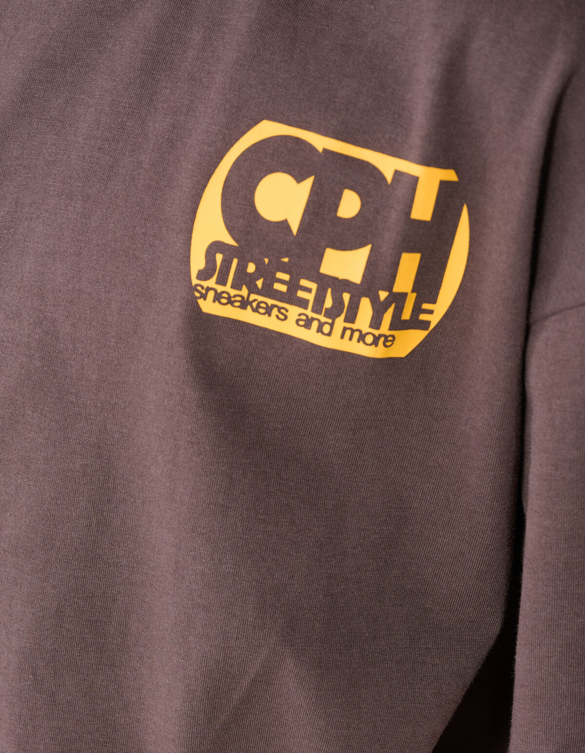 Copenhagen Artwork T-shirt Donkerbruin SHOEBY BOYS