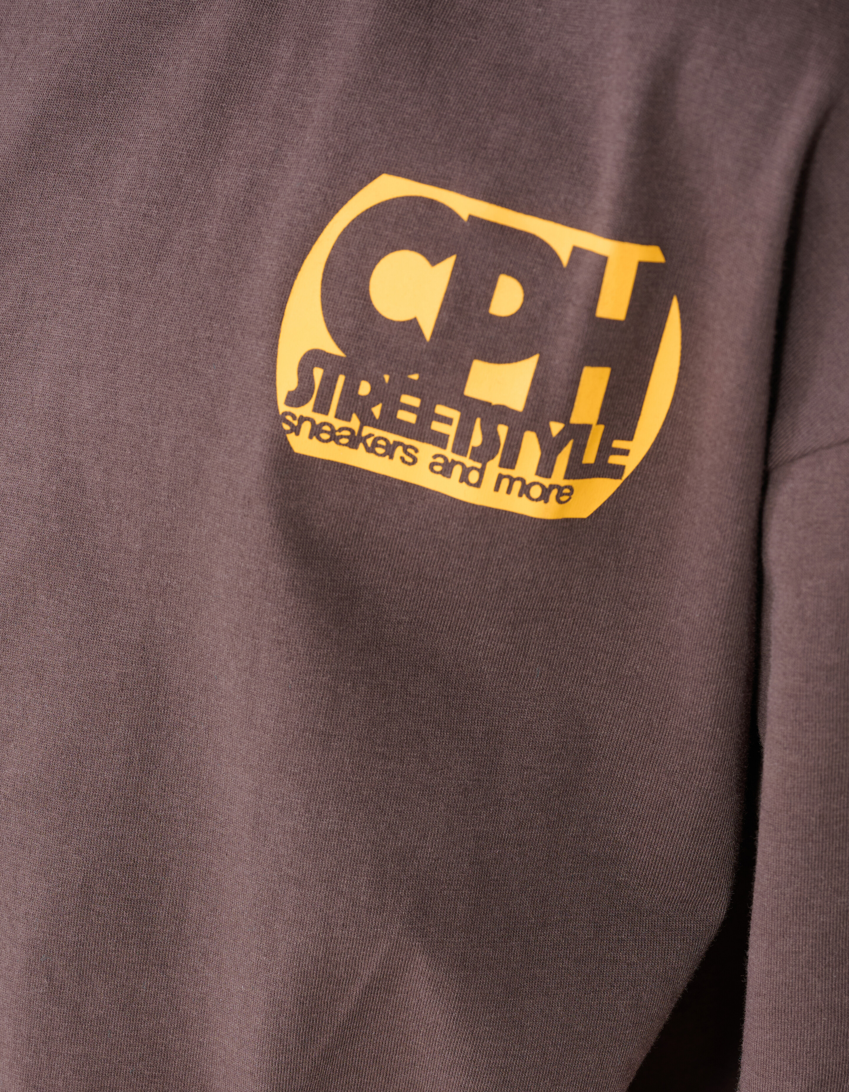 Copenhagen Artwork T-shirt Donkerbruin SHOEBY BOYS