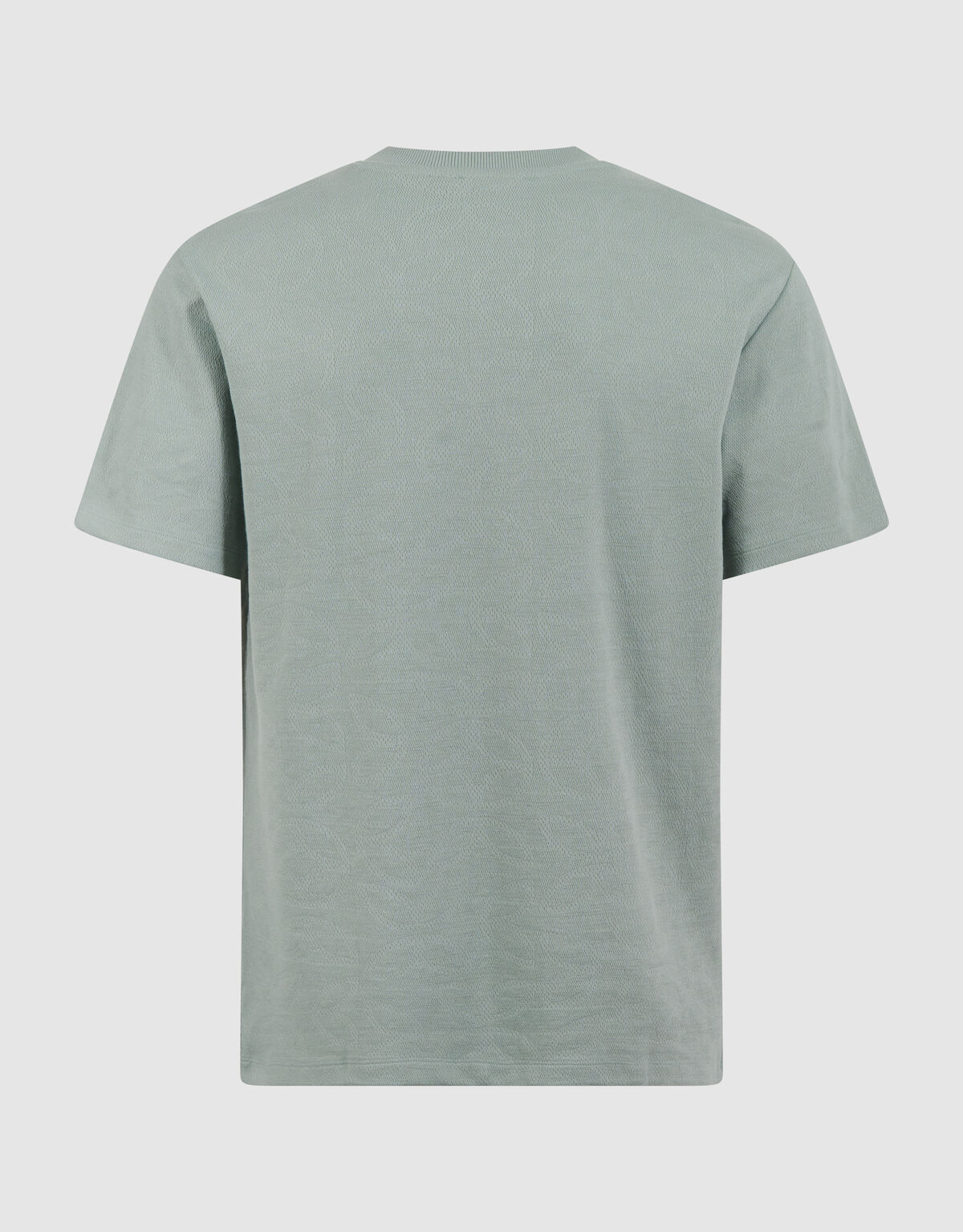 Spark Struktur T-Shirt Hellgr&uuml;n SHOEBY MEN
