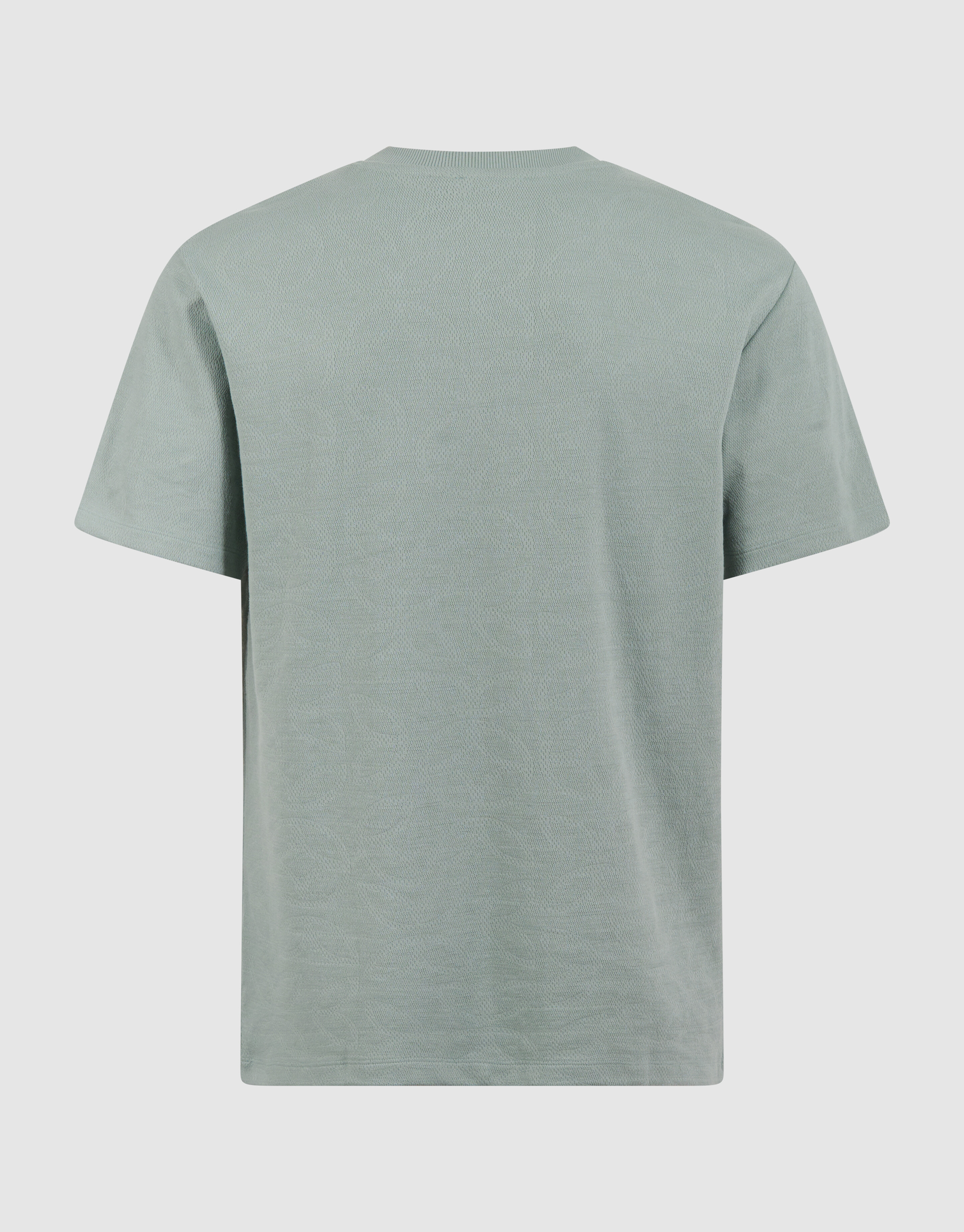 Spark Struktur T-Shirt Hellgr&uuml;n SHOEBY MEN
