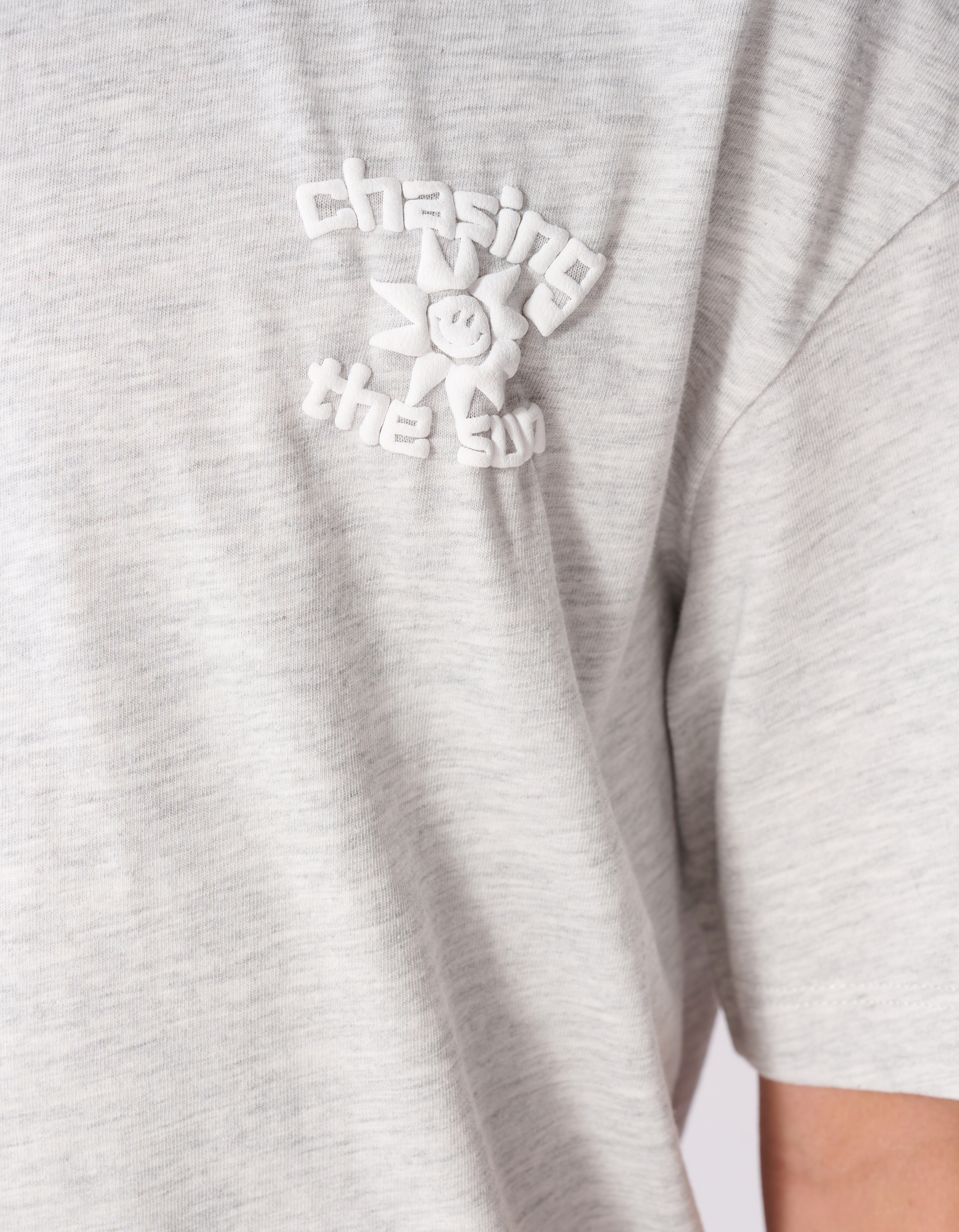 Chasing Artwork T-Shirt Hellgrau SHOEBY BOYS