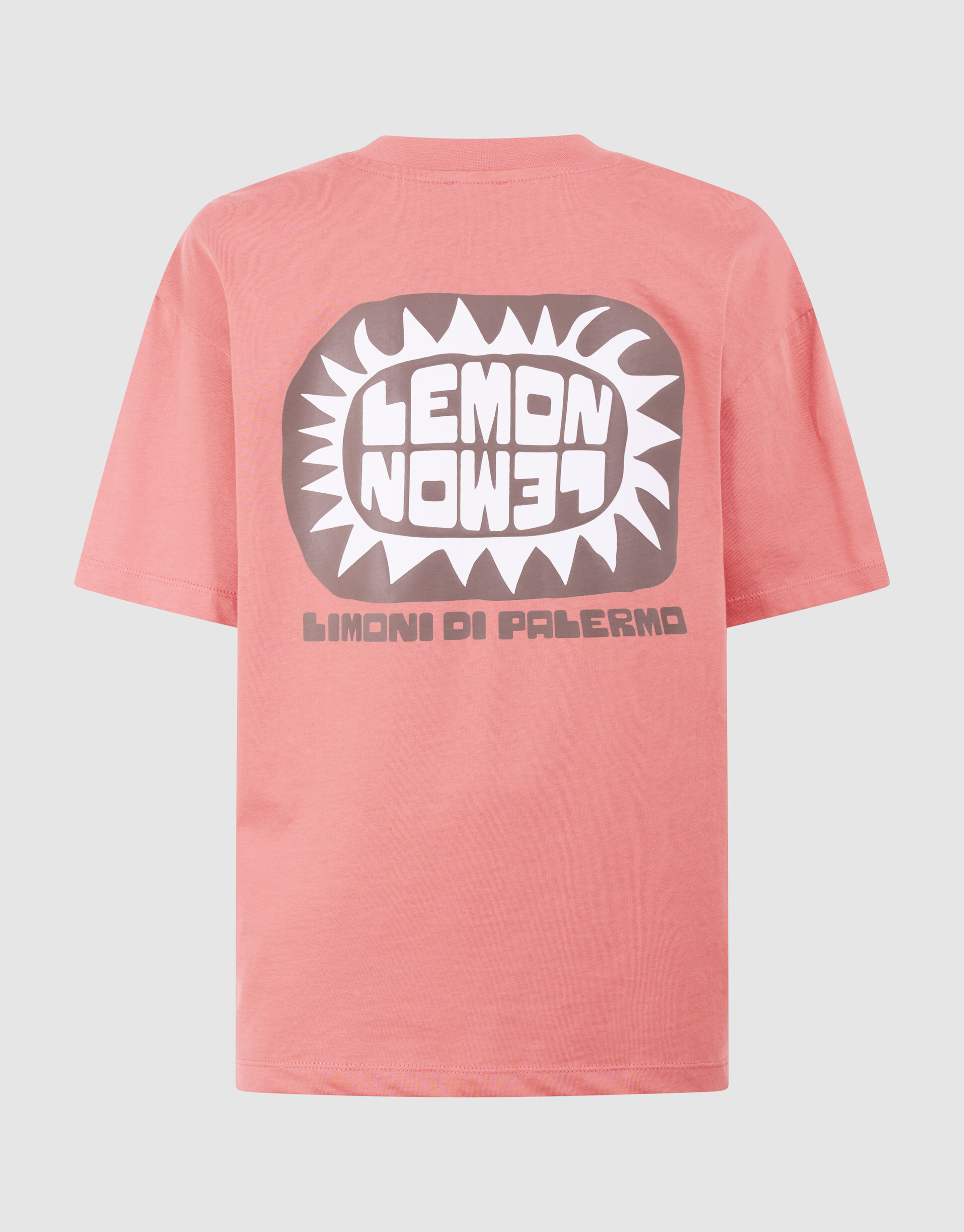 Lemon Artwork T-Shirt Terra SHOEBY BOYS