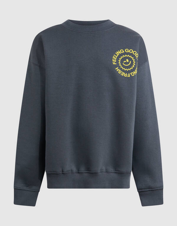 Frischer Kunstpullover Grau SHOEBY BOYS